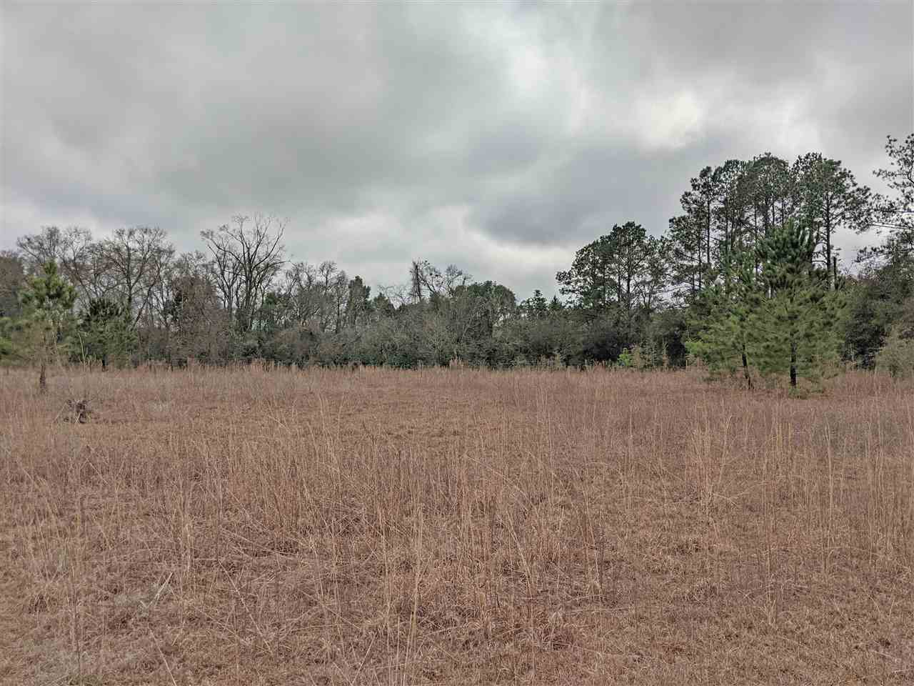 5244 Northeast Hickory Grove Road Pinetta, FL 32350 - Photo 5 of 23 Gallery Image 5