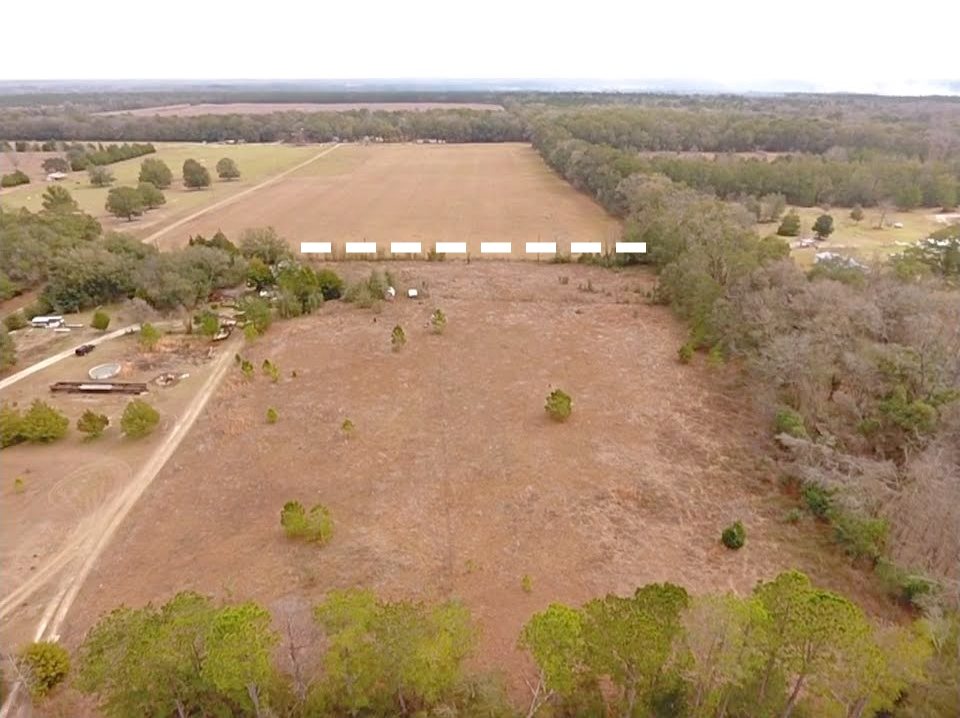 5244 Northeast Hickory Grove Road Pinetta, FL 32350 - Photo 8 of 23 Gallery Image 8