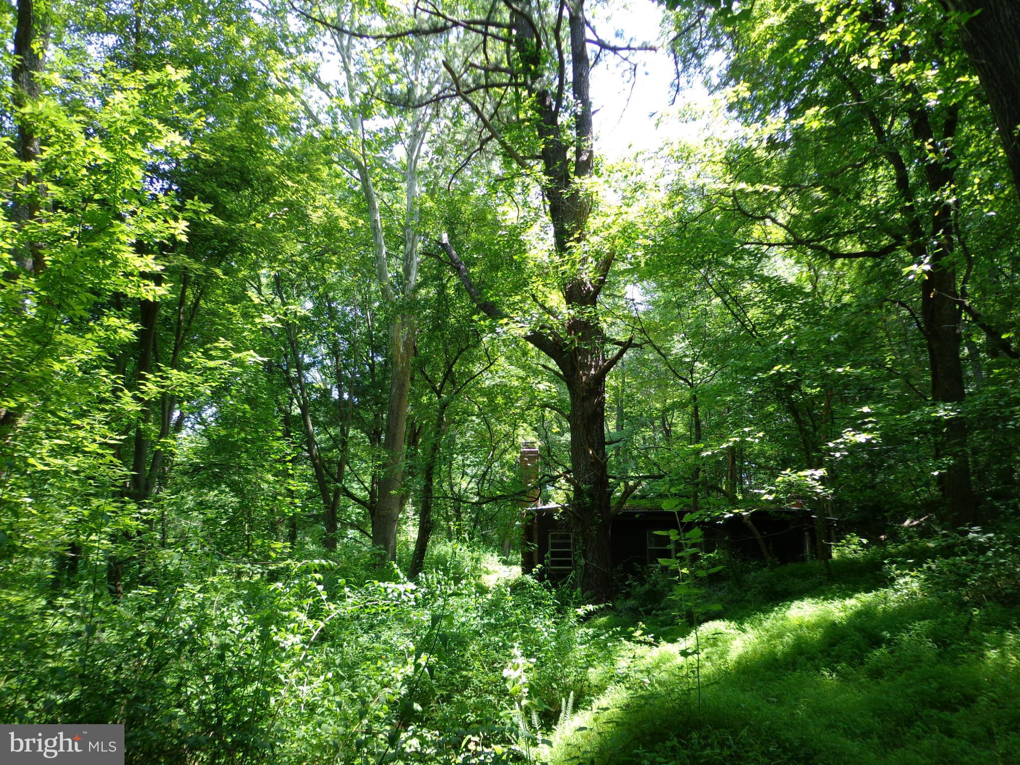 16746 Wesley Chapel Road Monkton, MD 21111 - Photo 12 of 18 Exterior (General)