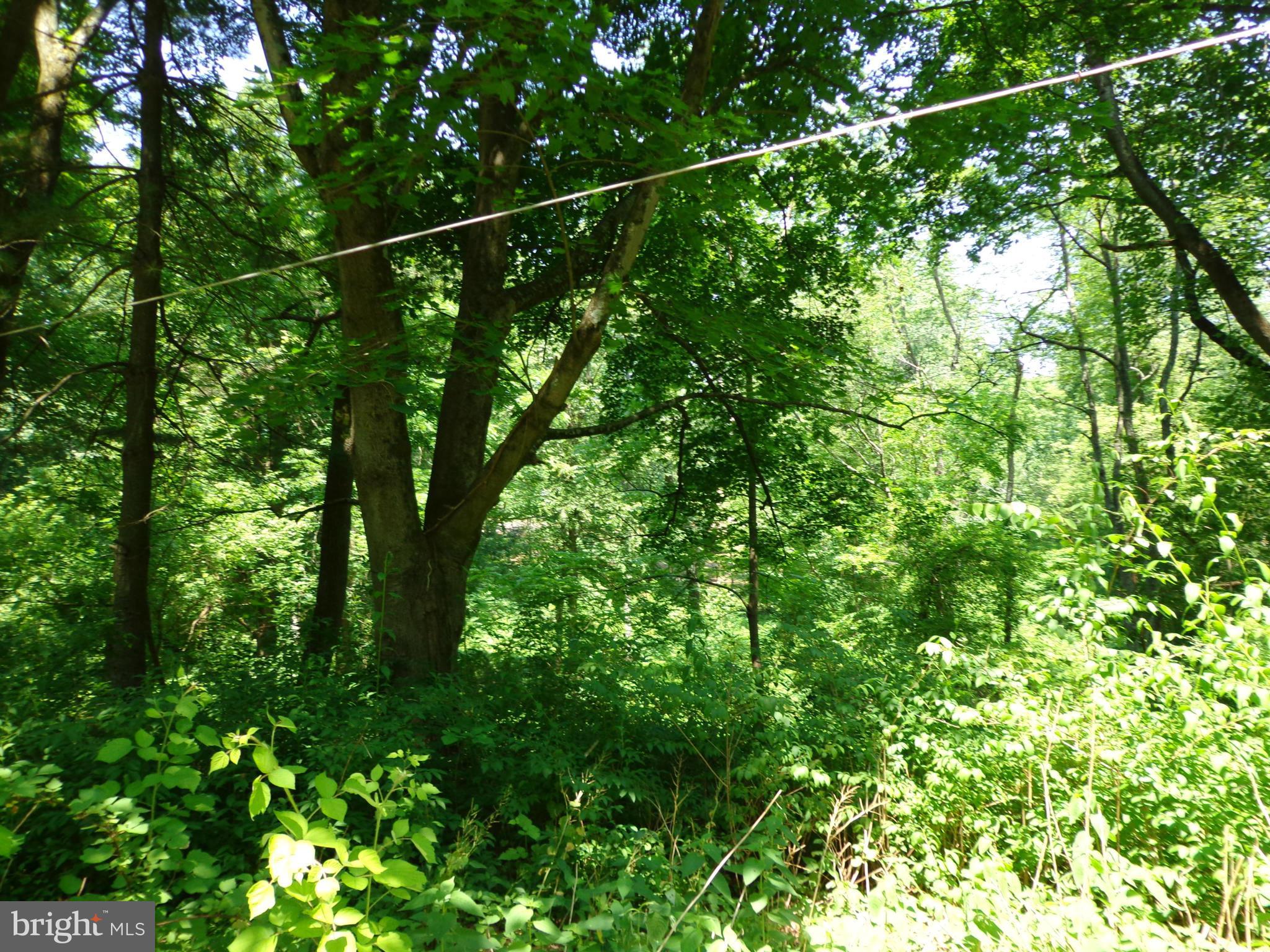 16746 Wesley Chapel Road Monkton, MD 21111 - Photo 3 of 18 Exterior (General)