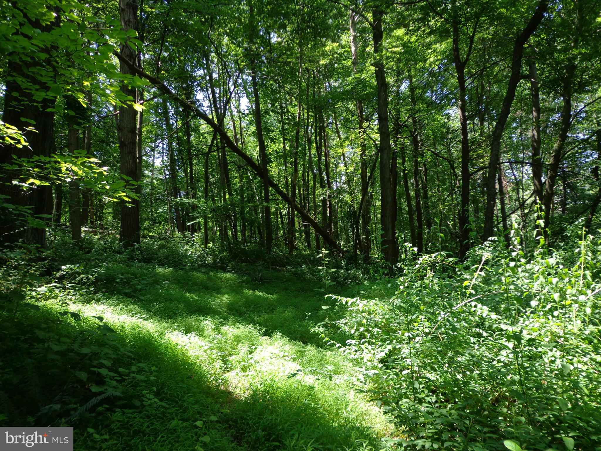 16746 Wesley Chapel Road Monkton, MD 21111 - Photo 4 of 18 Exterior (General)