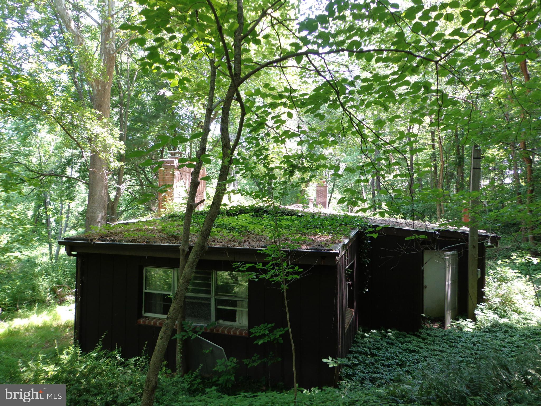 16746 Wesley Chapel Road Monkton, MD 21111 - Photo 5 of 18 Exterior (General)