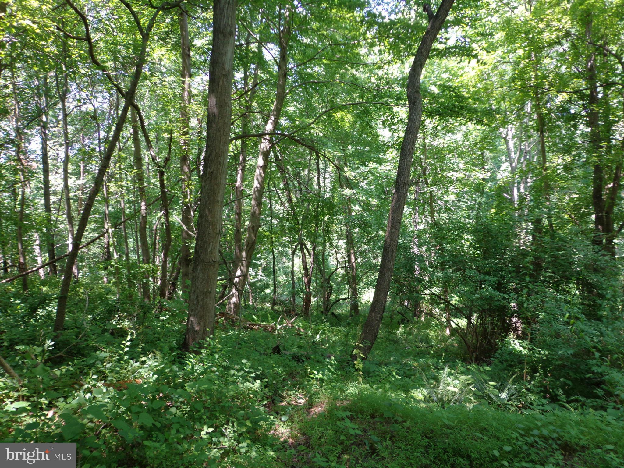 16746 Wesley Chapel Road Monkton, MD 21111 - Photo 6 of 18 Exterior (General)