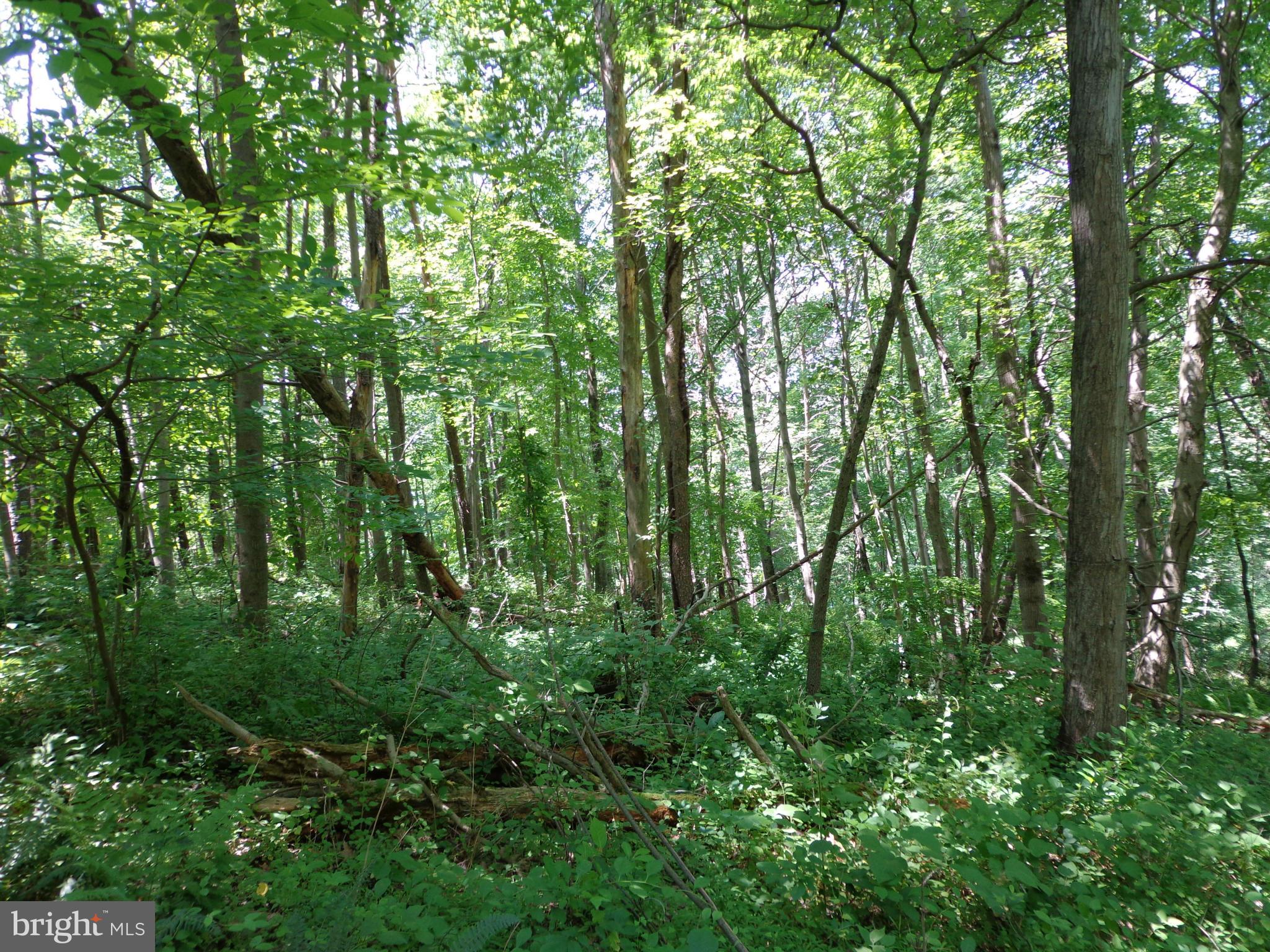 16746 Wesley Chapel Road Monkton, MD 21111 - Photo 7 of 18 Exterior (General)