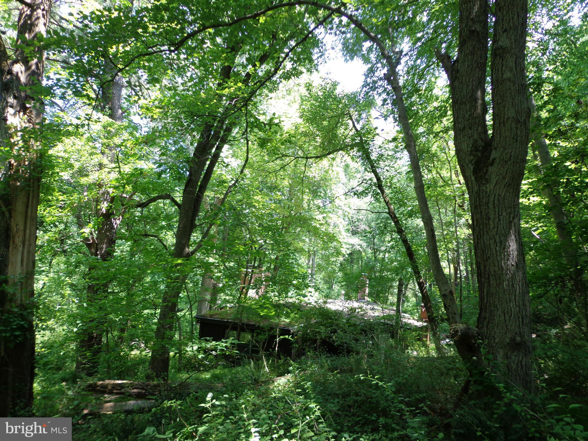 16746 Wesley Chapel Road Monkton, MD 21111 - Photo 8 of 18 Exterior (General)