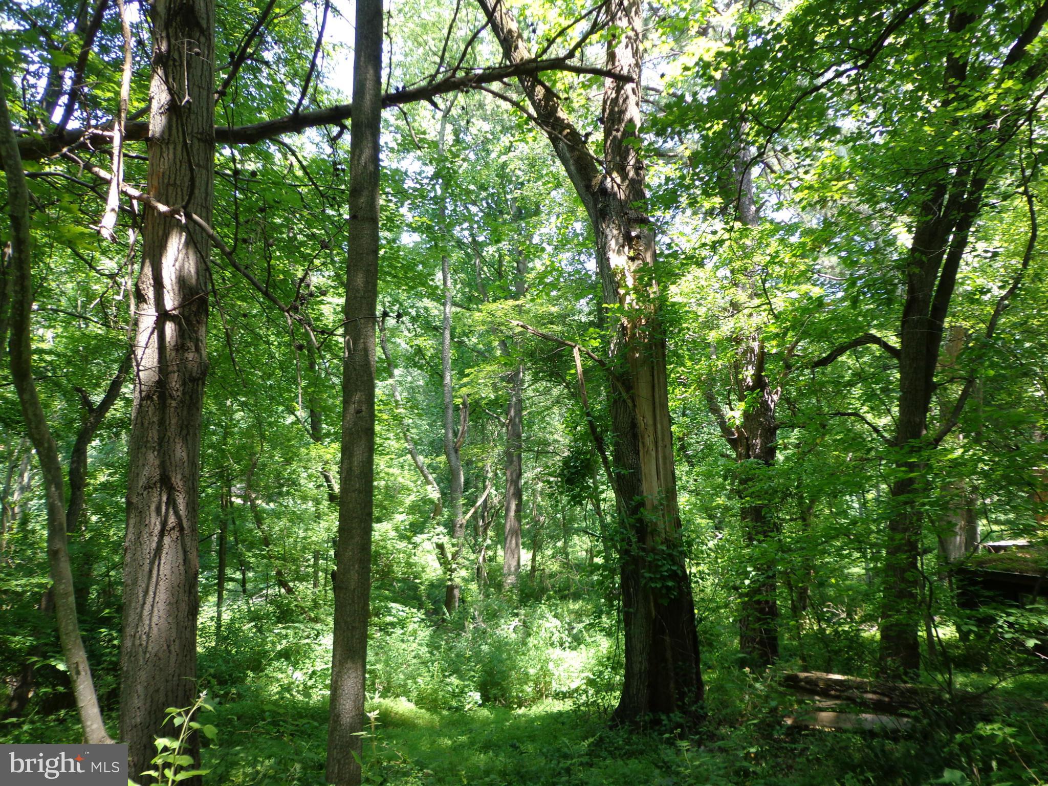 16746 Wesley Chapel Road Monkton, MD 21111 - Photo 9 of 18 Exterior (General)