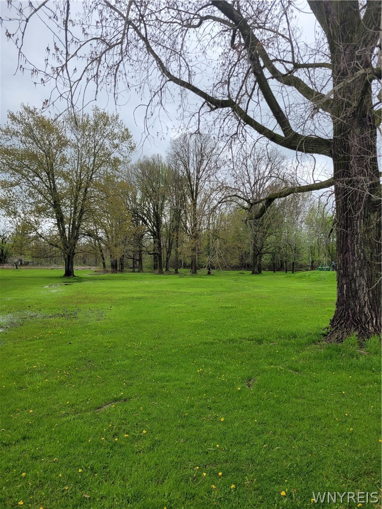 Vl Mapleton Road South Lockport, NY 14094 - Photo 1 of 1