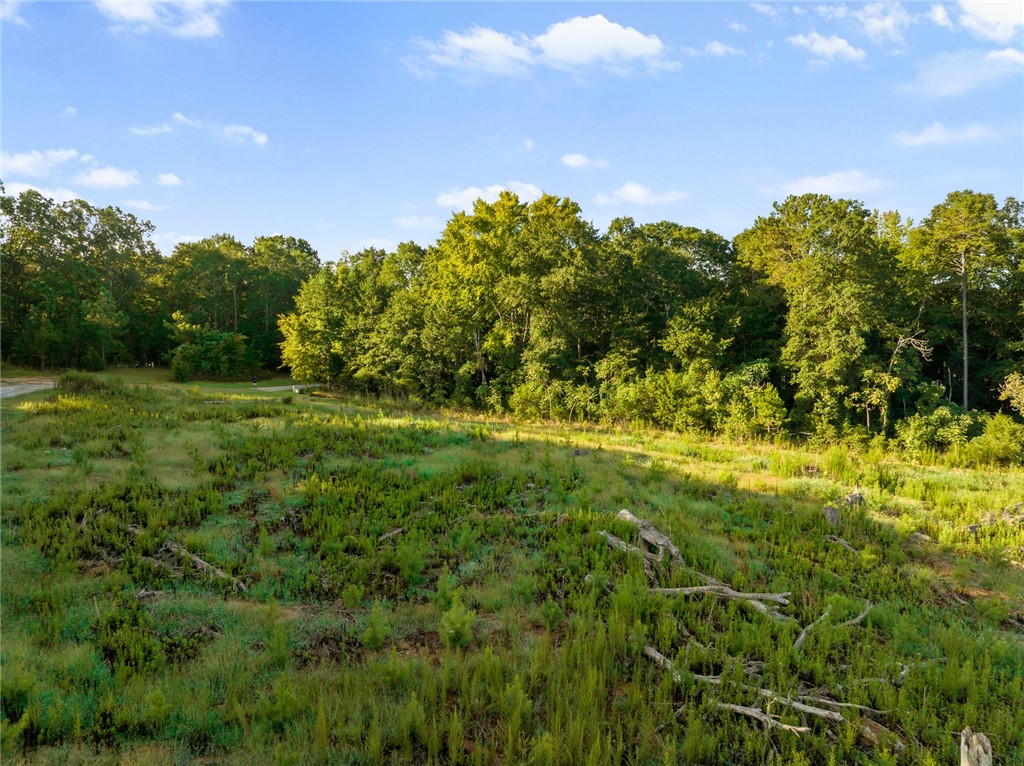 5-6 Tillman Estates Road Seneca, SC 29678 - Photo 22 of 24 Gallery Image 22