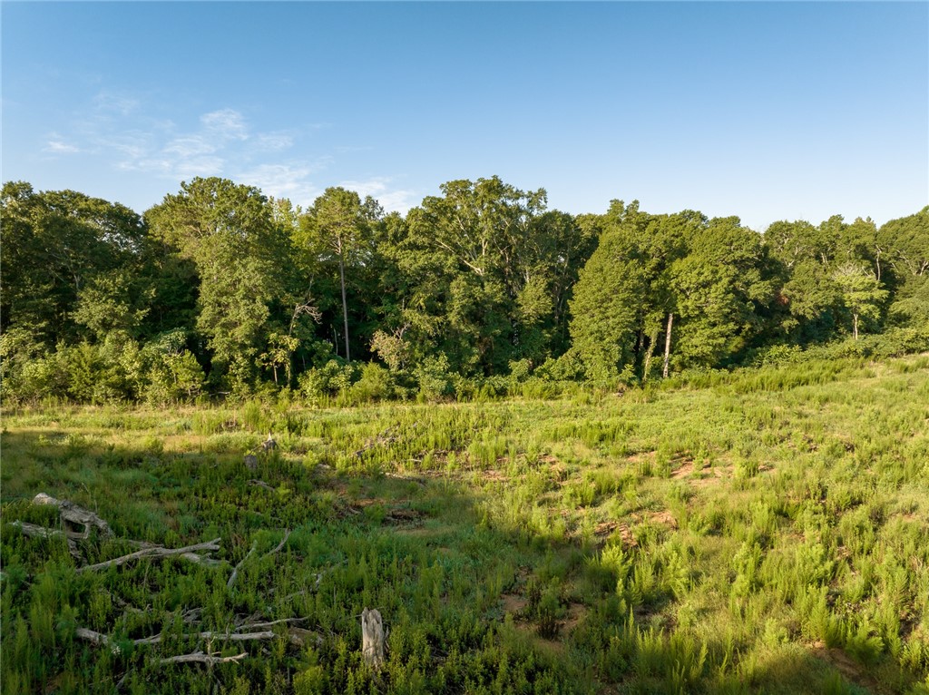5-6 Tillman Estates Road Seneca, SC 29678 - Photo 23 of 24 Gallery Image 23