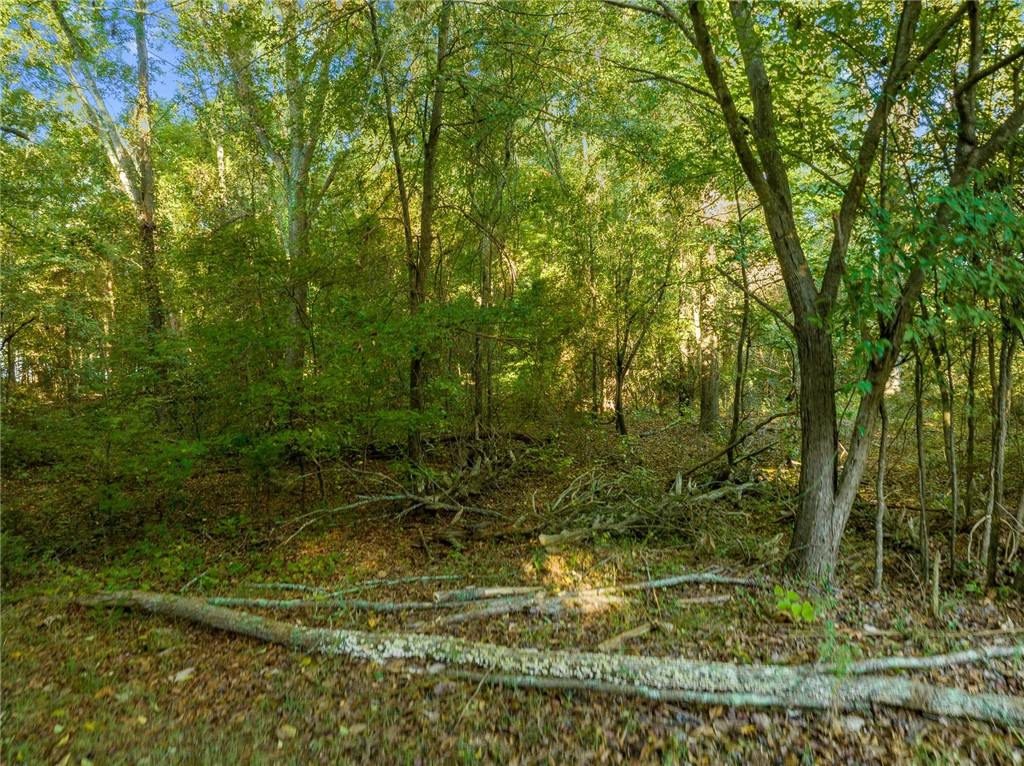 5-6 Tillman Estates Road Seneca, SC 29678 - Photo 24 of 24 Gallery Image 24