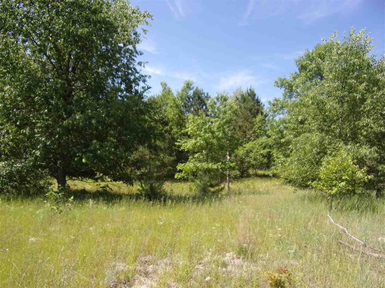 0 West Cutcheon Road Manton, MI 49663 - Photo 8 of 11 Gallery Image 8