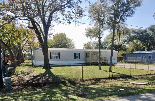 a view of a backyard with a large tree
