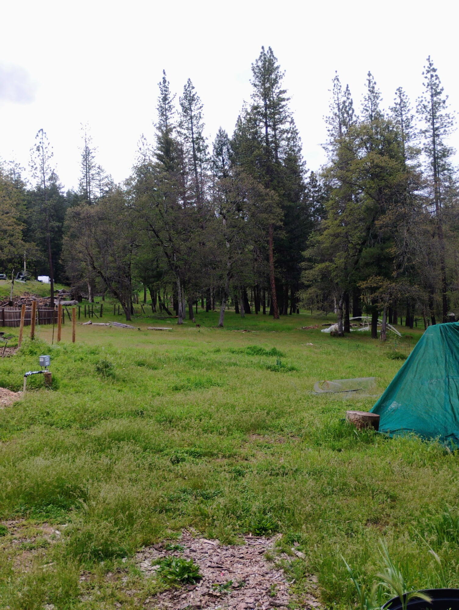 1411 Mc Alexander Road Hayfork, CA 96041 - Photo 29 of 38 Yard