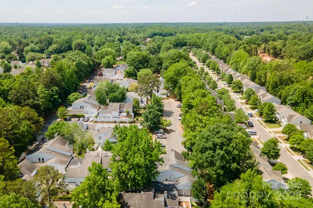 a view of a backyard with large trees