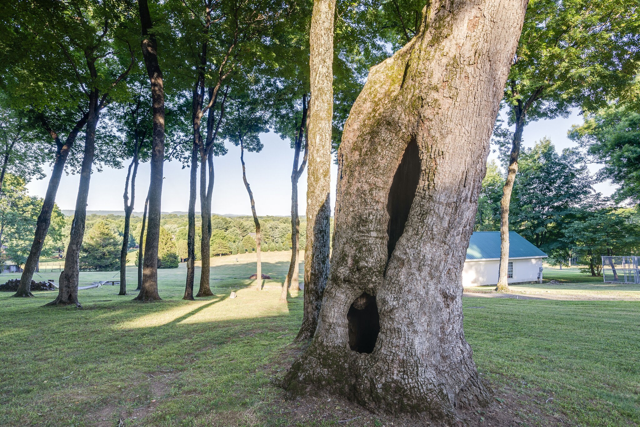 4248 Warren Road Franklin, TN 37067 - Photo 59 of 69 a backyard of a house with lots of green space