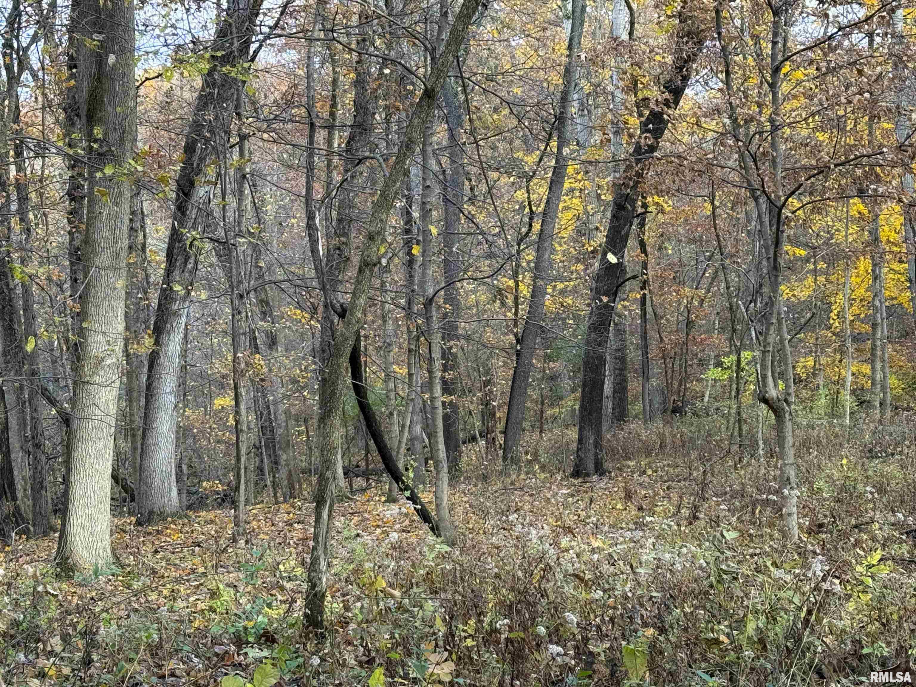 0 West Singing Woods Road Dunlap, IL 61525 - Photo 32 of 78 Gallery Image 32