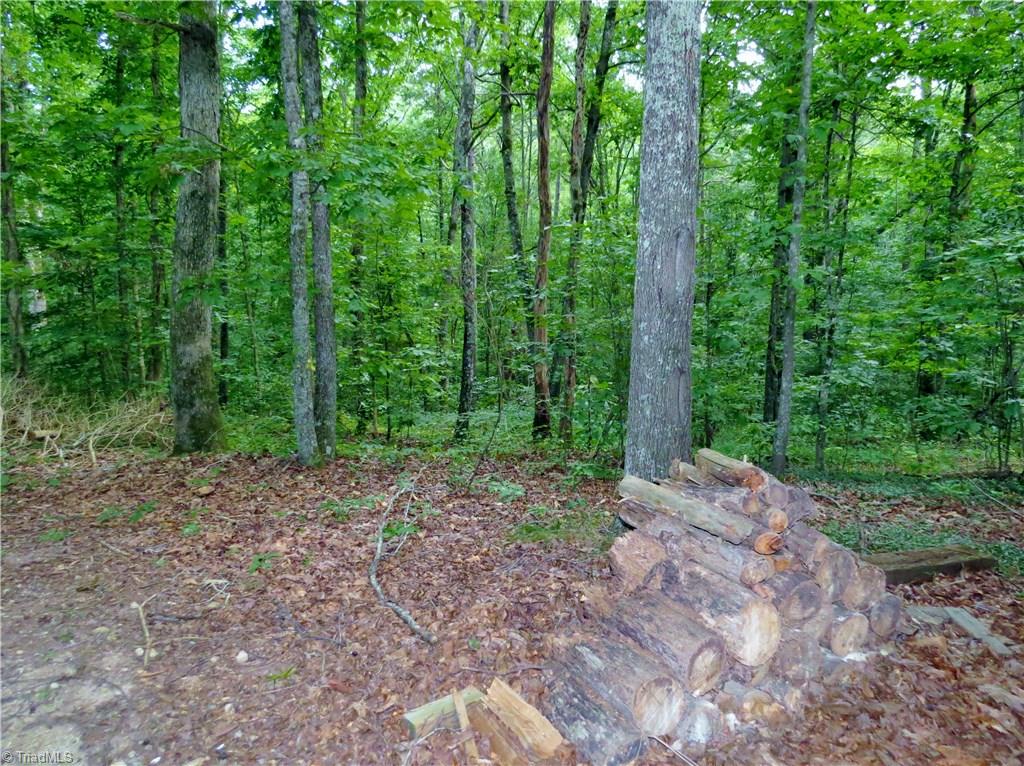 3439 Love Road Claremont, NC 28610 - Photo 24 of 26 Gallery Image 24
