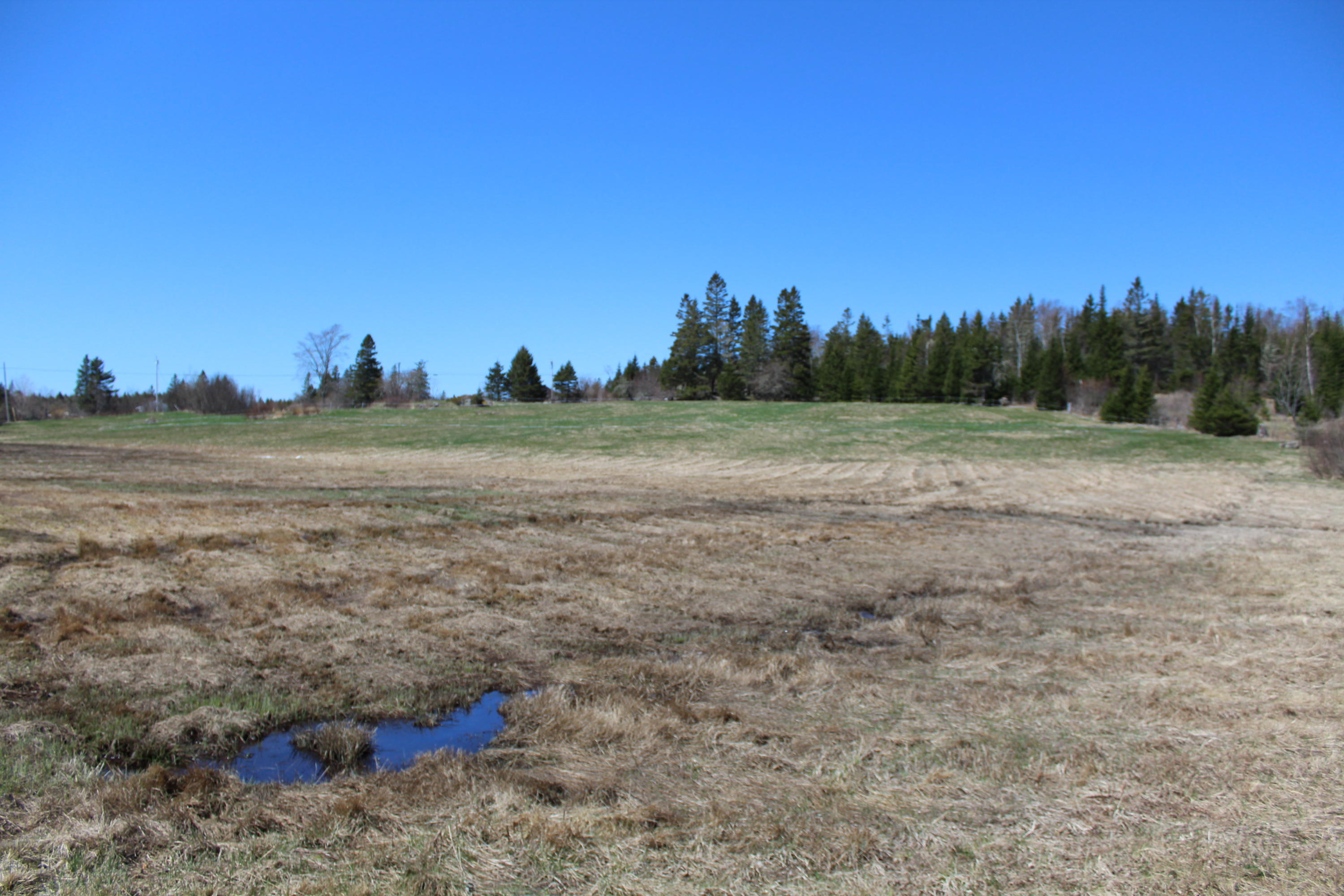 0 Old Eastport Road Perry, ME 04667 - Photo 19 of 25 IMG_3516
