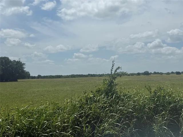 a view of a lake from a yard