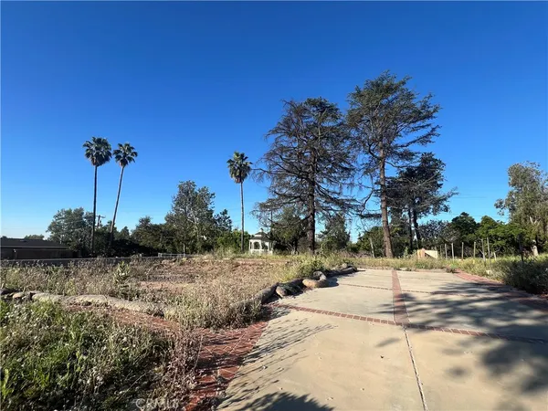 a view of road with trees
