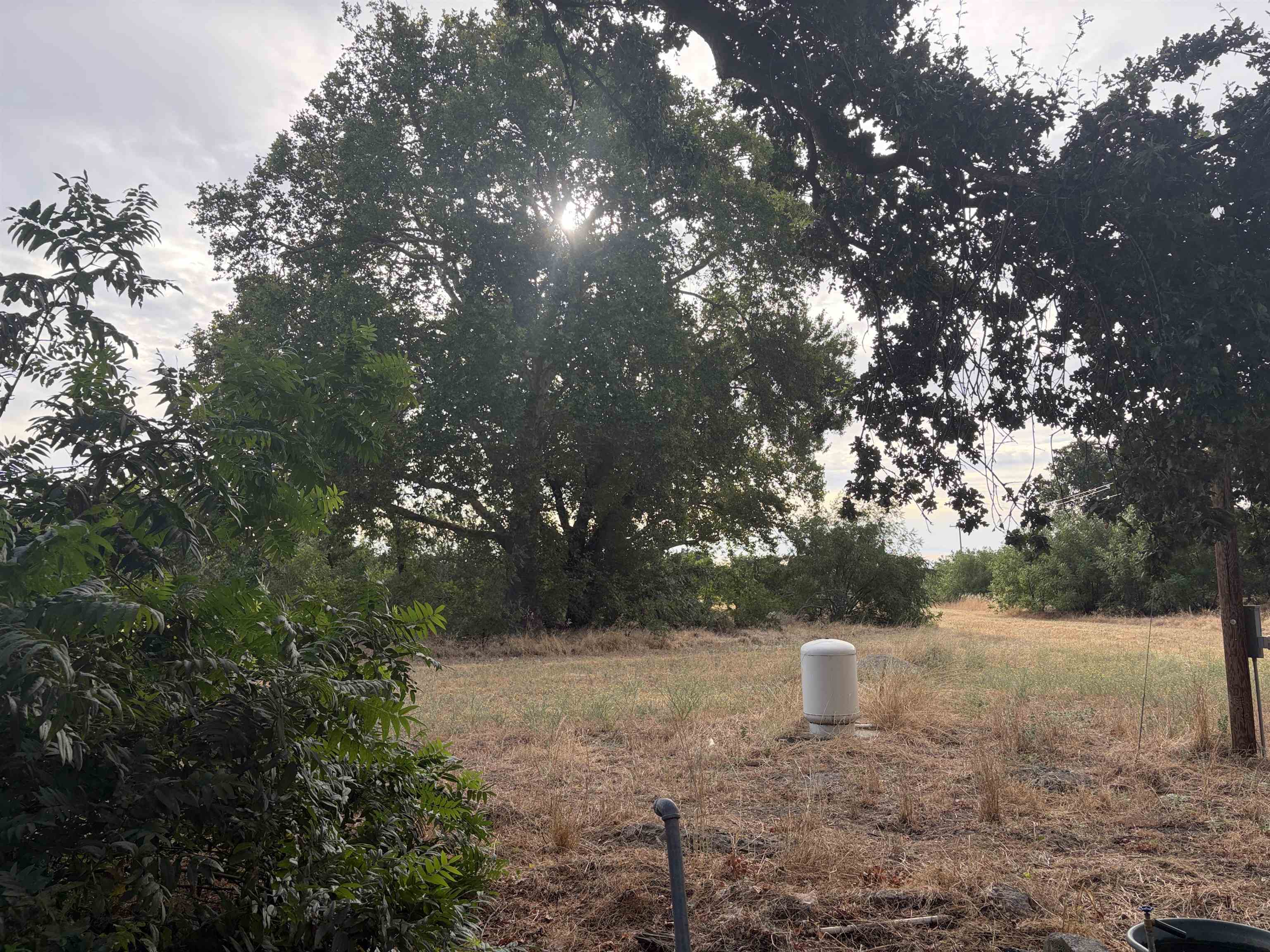 19115 Simpson Road Corning, CA 96021 - Photo 9 of 35