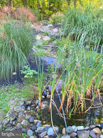 a spacious bedroom with a bed a couch and dresser
