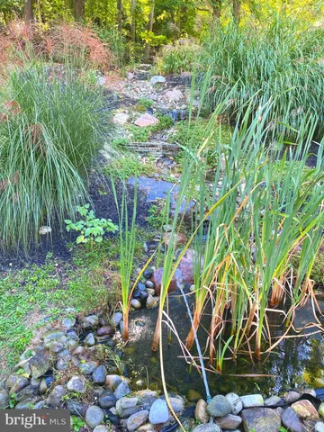 a spacious bedroom with a bed a couch and dresser