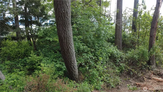 $145,000 | 17 W Gedney Way, Hat Island, WA 98201