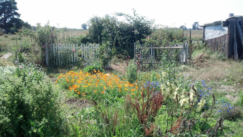 1387 Janes Road Arcata, CA 95521 - Photo 2 of 5 JanesRd_2