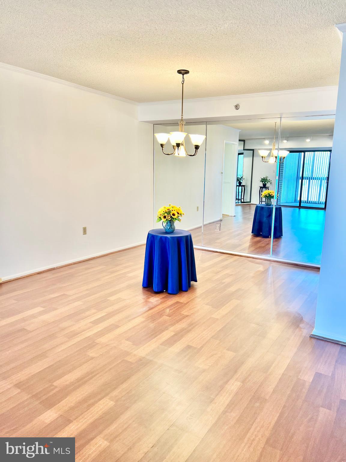 15115 Interlachen Drive, Unit 3603 Silver Spring, MD 20906 - Photo 14 of 49 a room with natural light