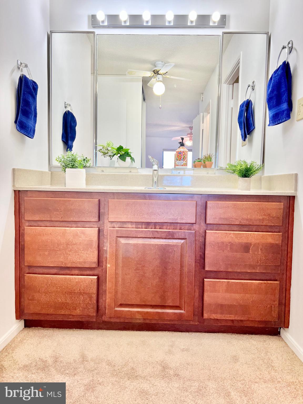 15115 Interlachen Drive, Unit 3603 Silver Spring, MD 20906 - Photo 5 of 49 a bathroom with a sink and a mirror