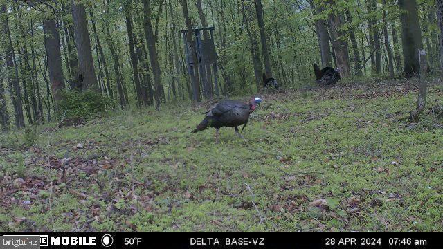 11915 Cove Road Clear Spring, MD 21722 - Photo 72 of 86