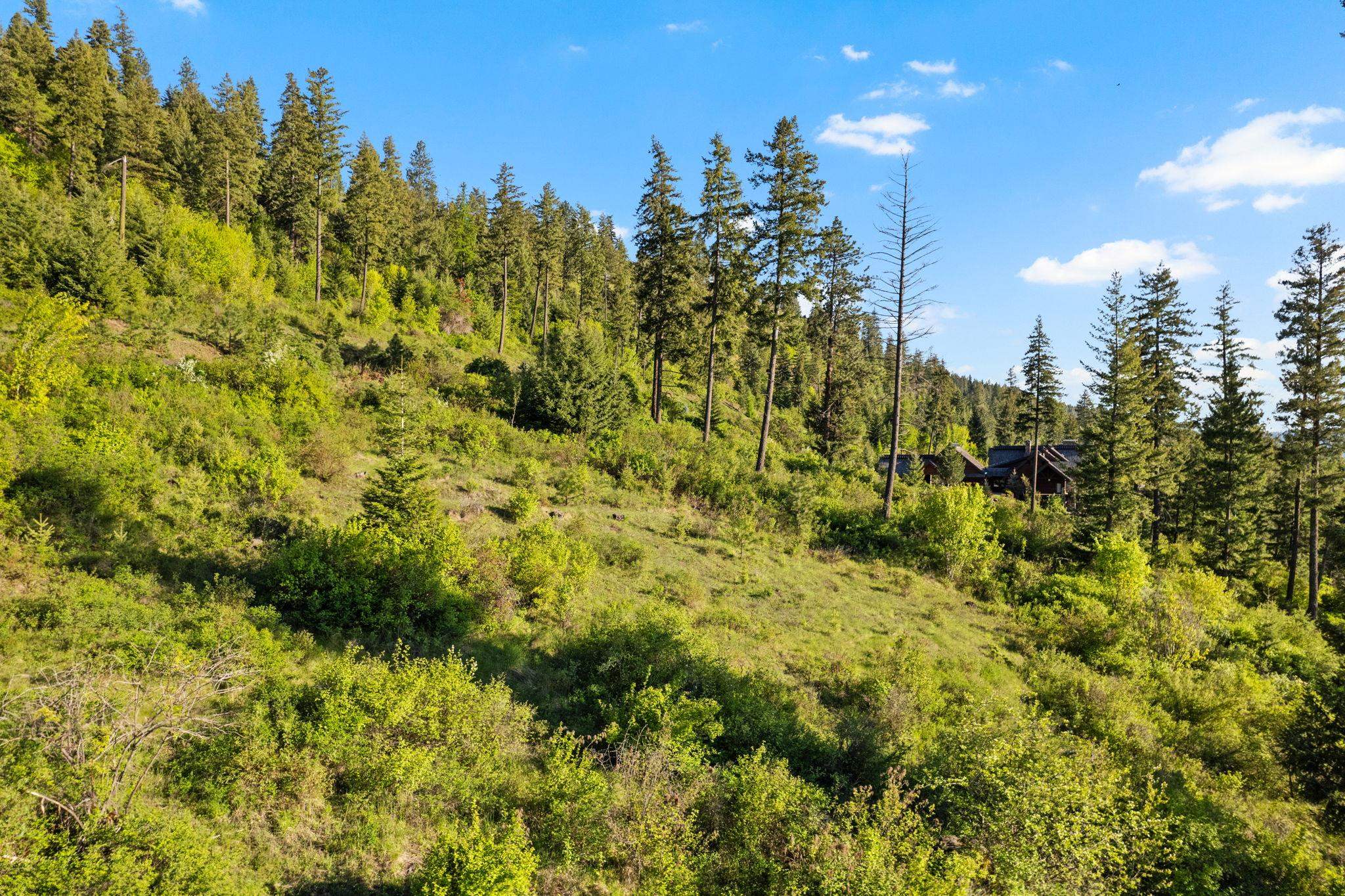 Nka South Headlands Drive Harrison, ID 83833 - Photo 13 of 18 Gallery Image 13
