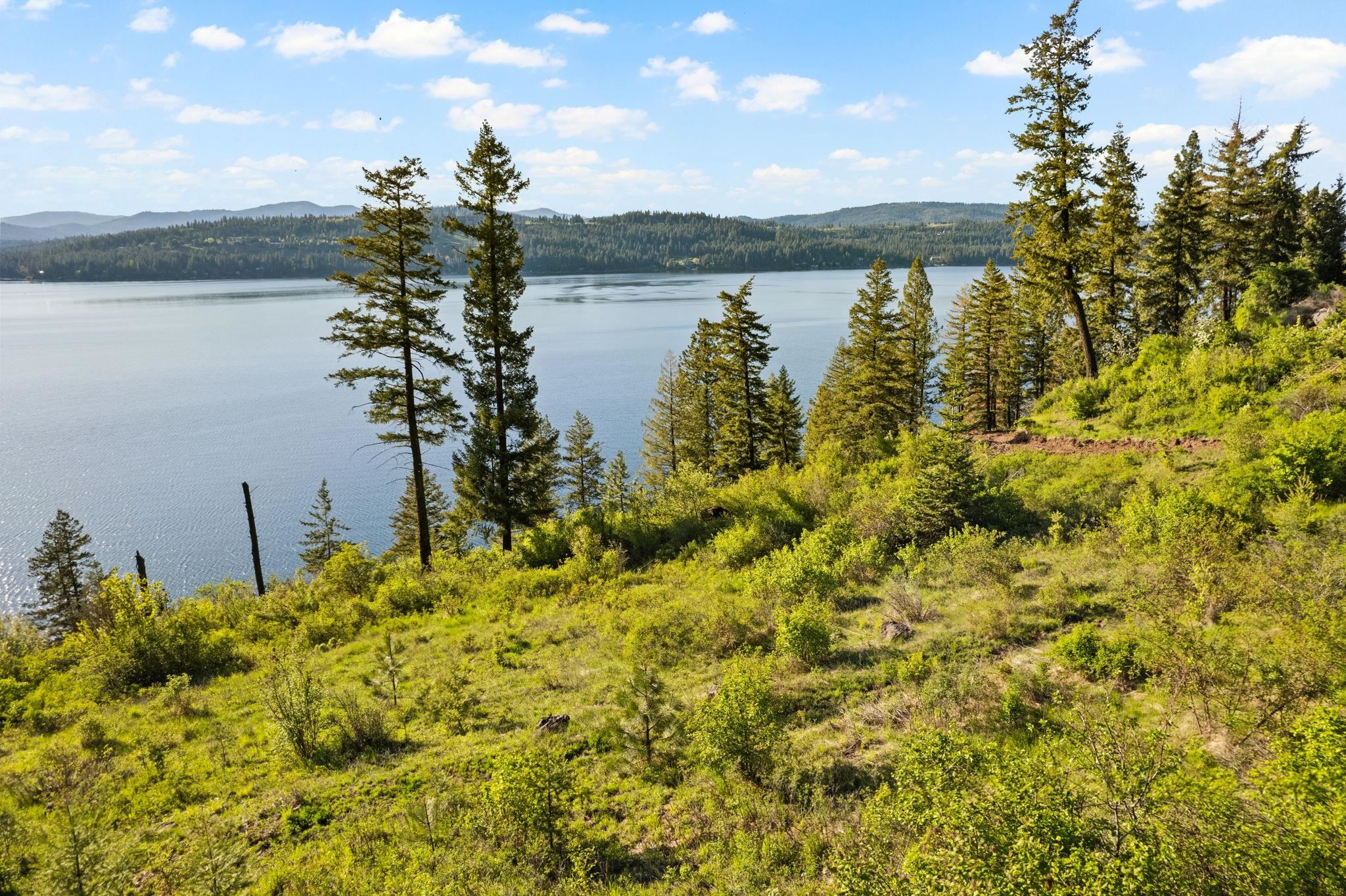 Nka South Headlands Drive Harrison, ID 83833 - Photo 9 of 18 Gallery Image 9