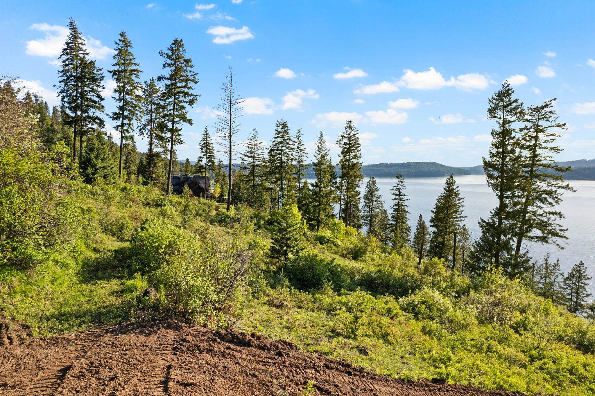 Nka South Headlands Drive Harrison, ID 83833 - Photo 10 of 18 Gallery Image 10