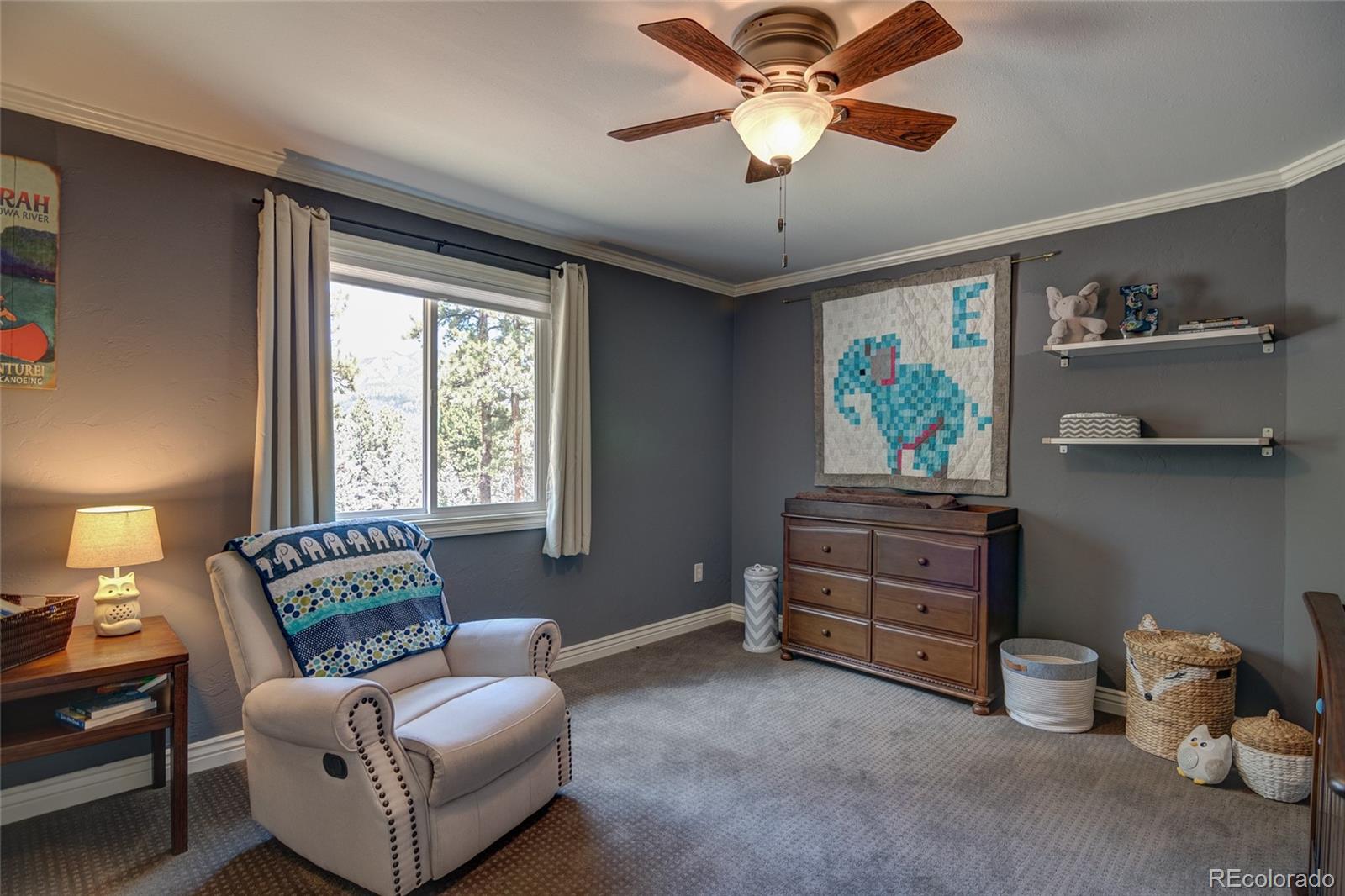 83 Hudson Road Pine, CO 80470 - Photo 25 of 40 Gallery Image 25