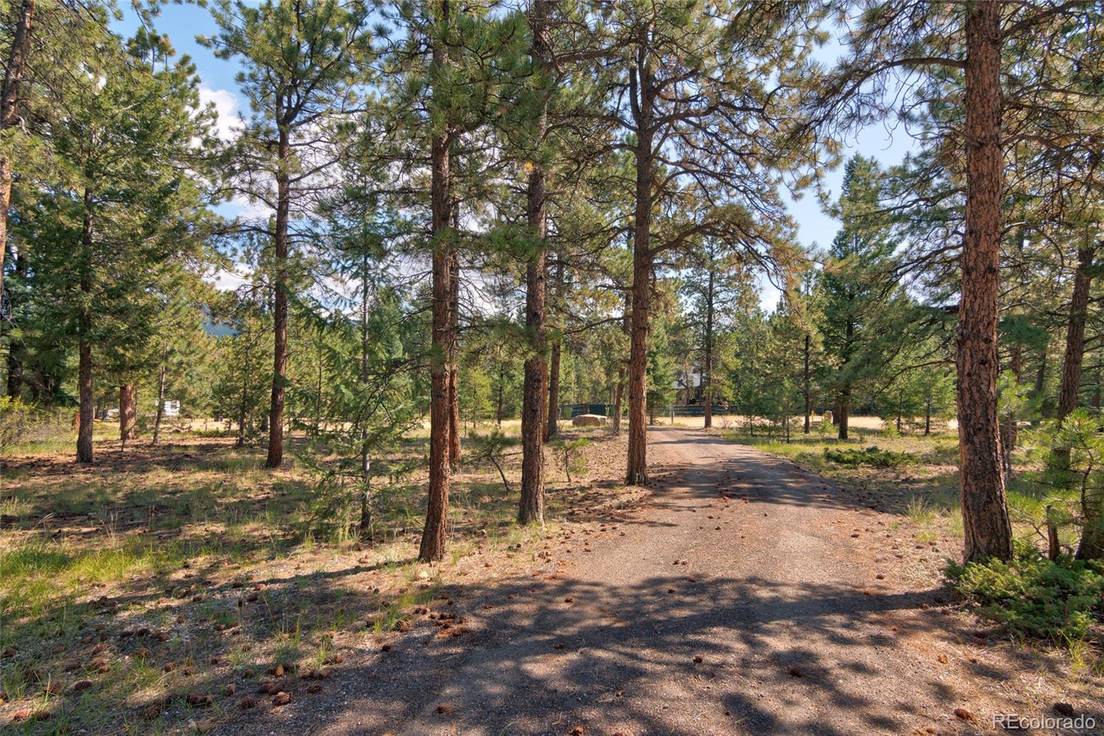 83 Hudson Road Pine, CO 80470 - Photo 40 of 40 Gallery Image 40