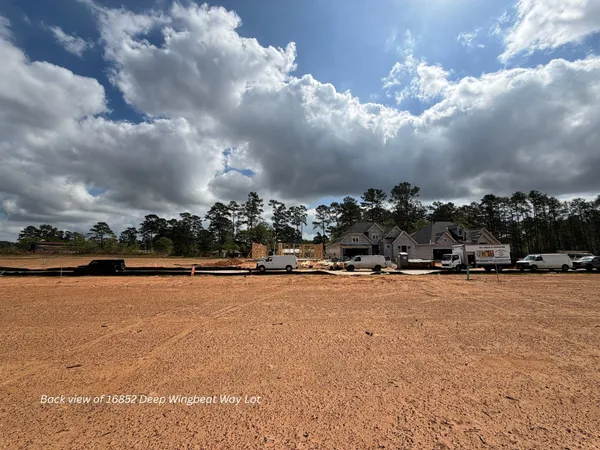 a view of a basket ball ground