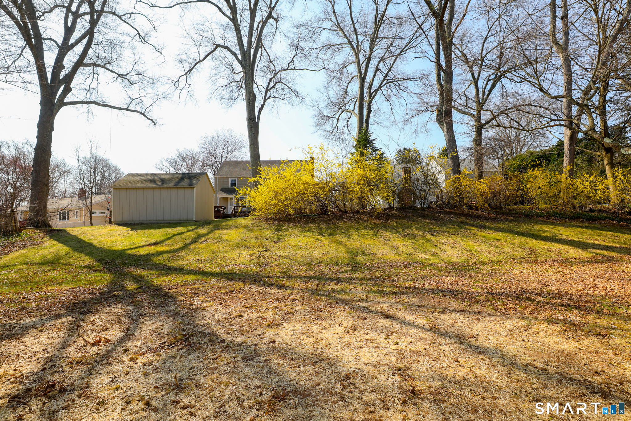 105 Hyde Road West Hartford, CT 06117 - Photo 2 of 25 a view of yard with tree
