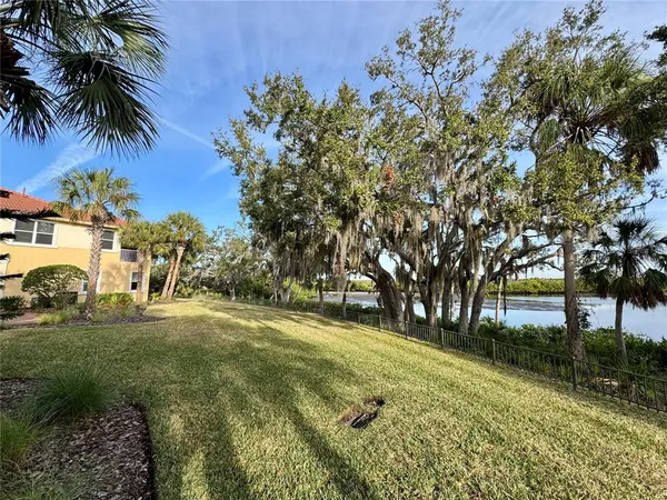 a view of a field with a tree