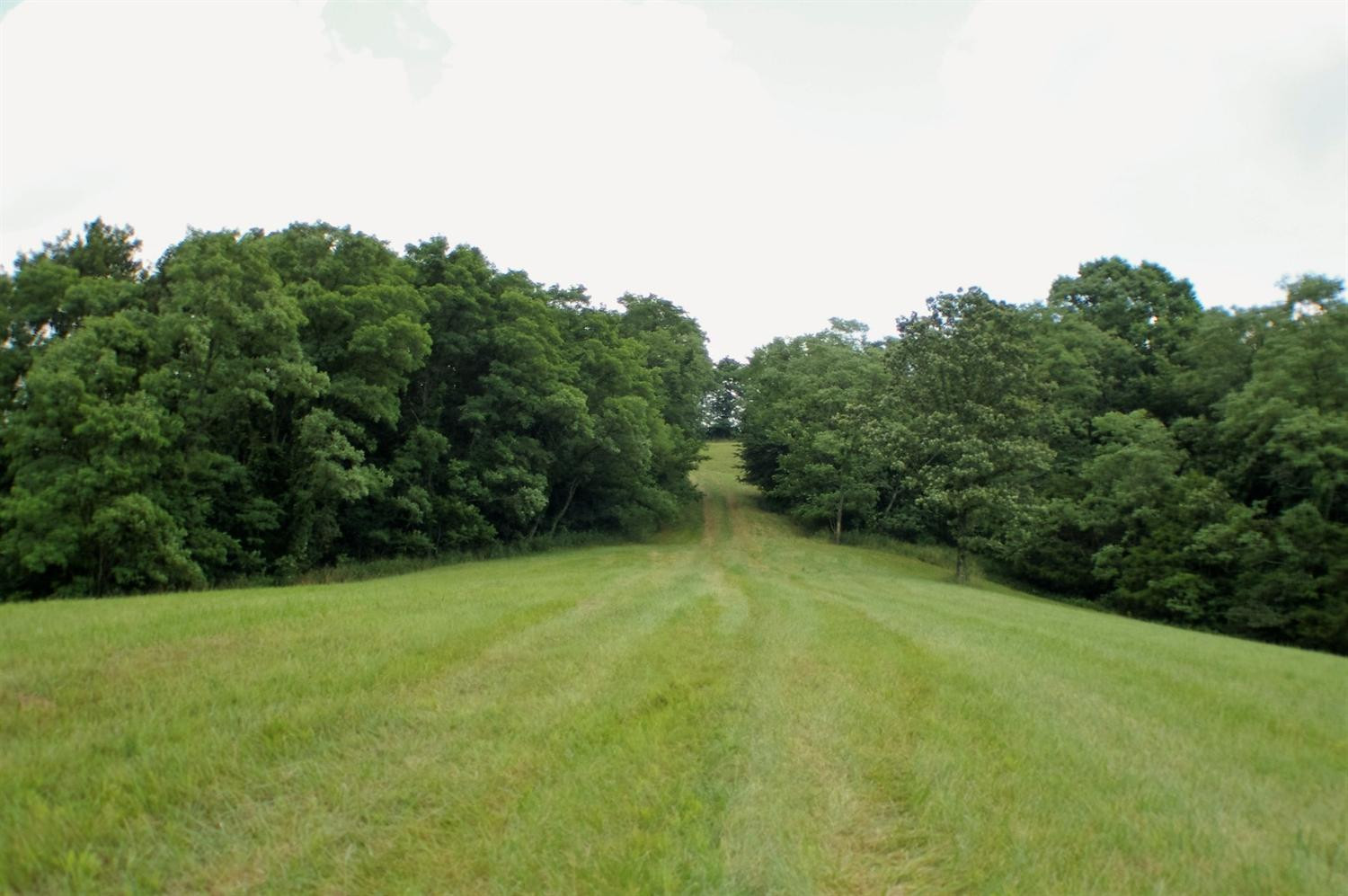 1 Alhambra Road, Unit 3 Mays Lick, KY 41055 - Photo 5 of 14 Photo 5