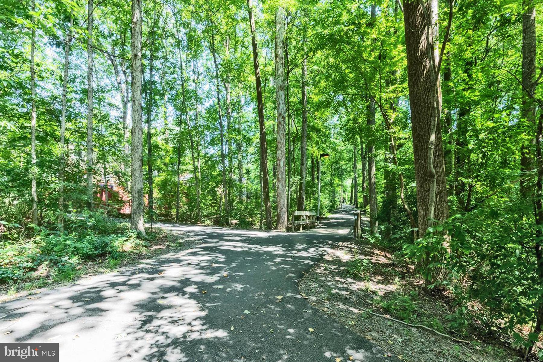 2177 White Cornus Lane Reston, VA 20191 - Photo 25 of 34 Gallery Image 25