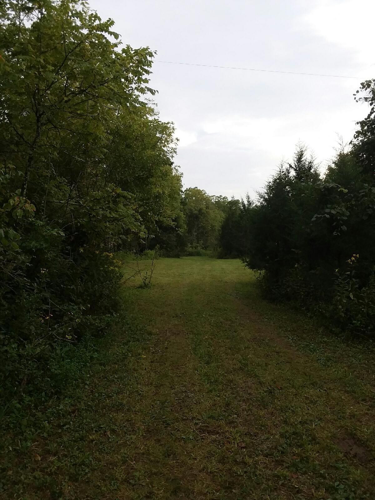 5 Puckett Road Lawrenceburg, KY 40342 - Photo 3 of 9 Photo 3