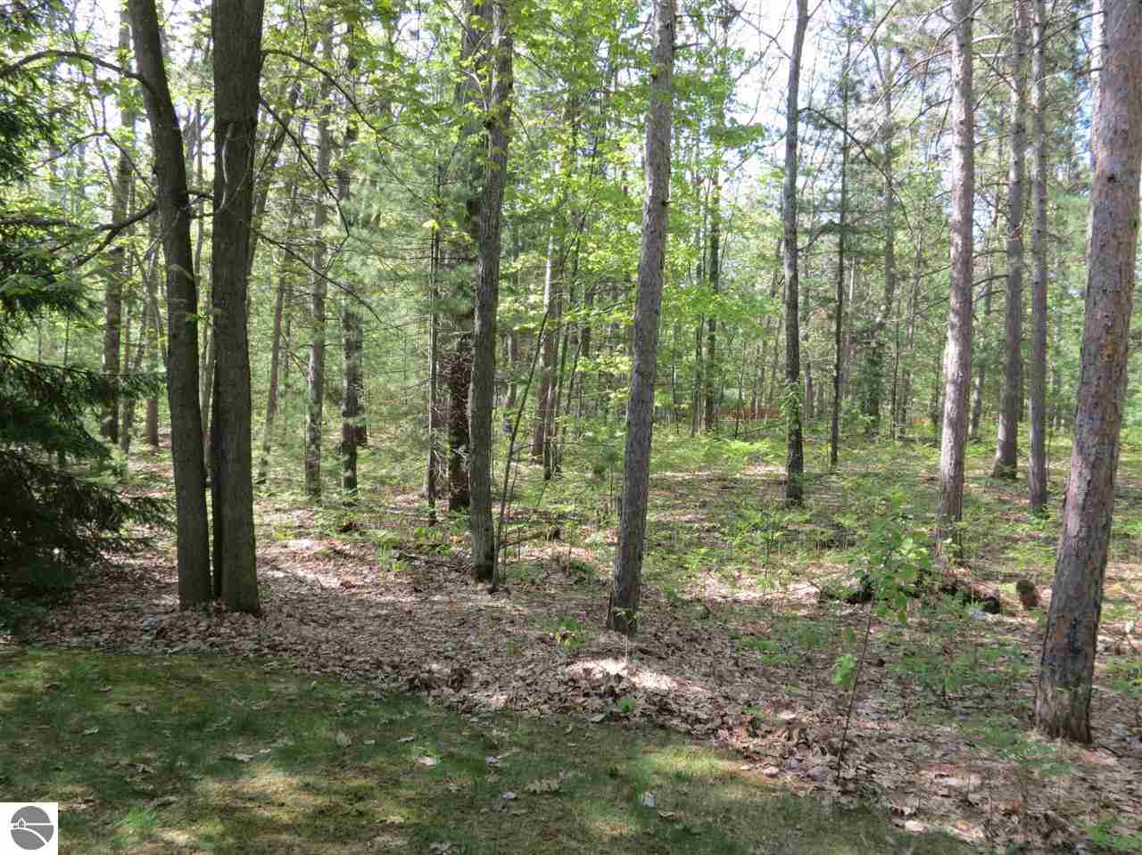 559 West Long Lake Road Traverse City, MI 49685 - Photo 21 of 23 1785157-20.JPG