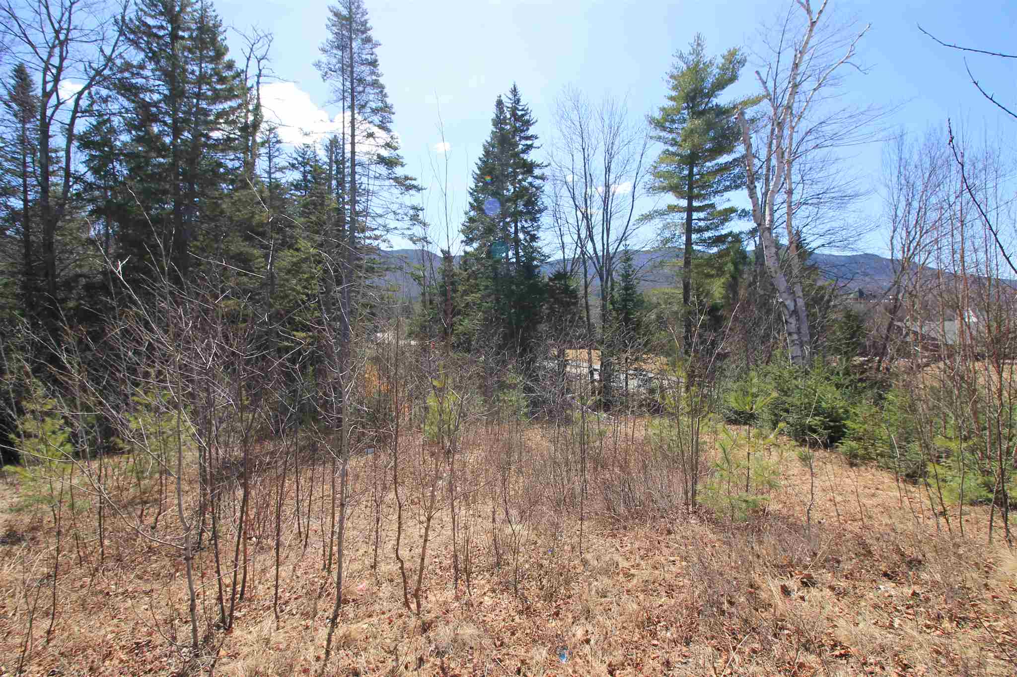 6 Lost Pass Road, Unit 37B Waterville Valley, NH 03215 - Photo 3 of 4