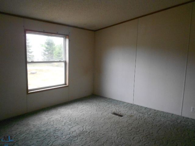 5574 Hamilton Road Peck, MI 48466 - Photo 10 of 14 31115403-9.JPG