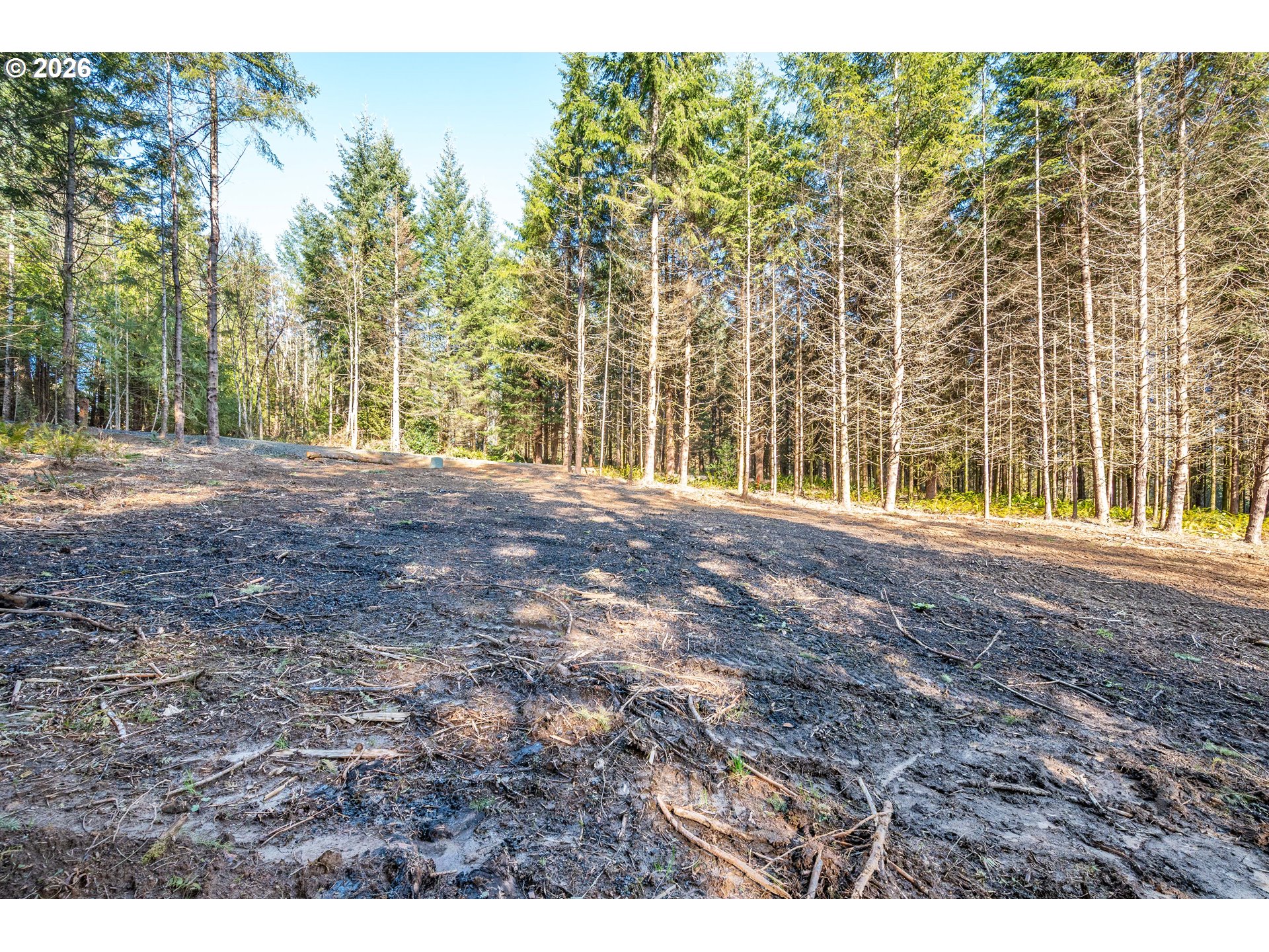 0 Bunker Hill Road, Unit A Longview, WA 98632 - Photo 15 of 18