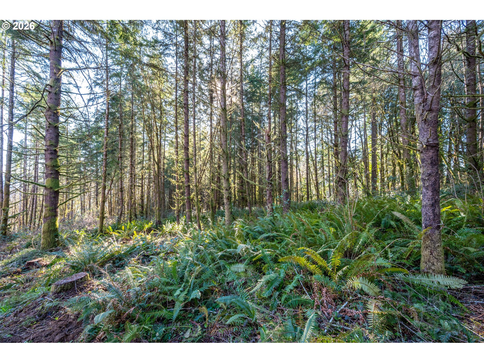 0 Bunker Hill Road, Unit A Longview, WA 98632 - Photo 16 of 18