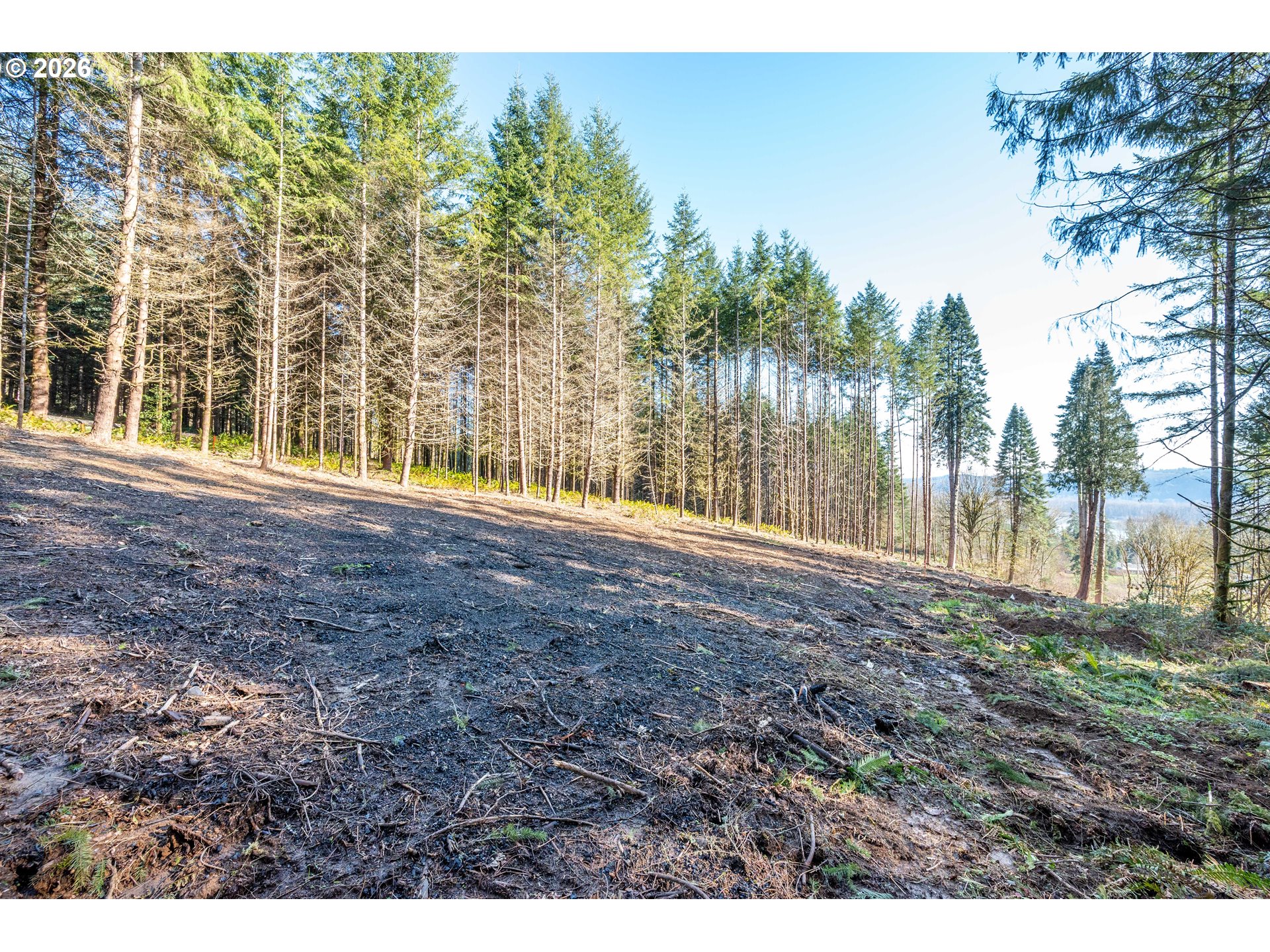 0 Bunker Hill Road, Unit A Longview, WA 98632 - Photo 17 of 18