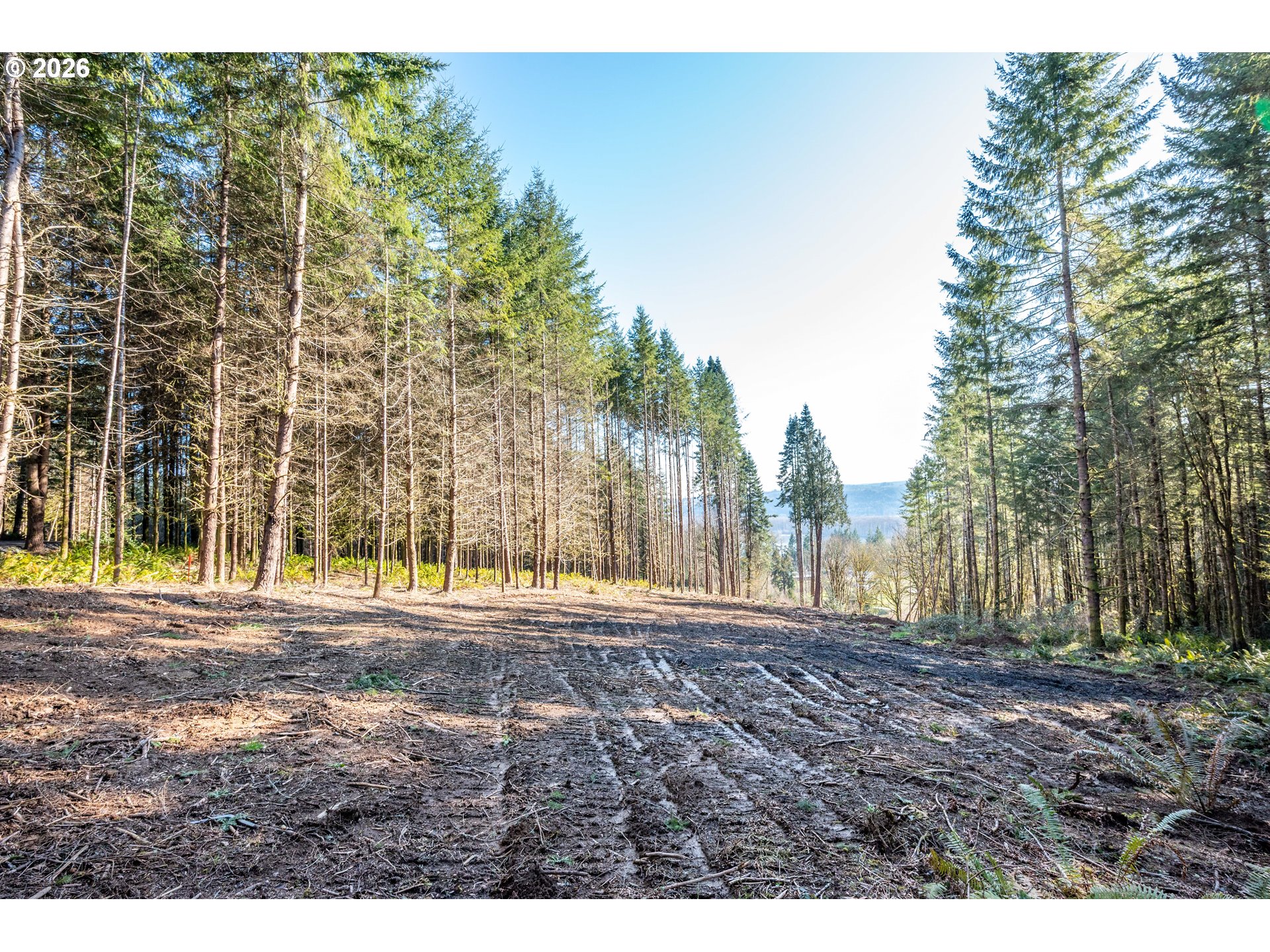 0 Bunker Hill Road, Unit A Longview, WA 98632 - Photo 4 of 18